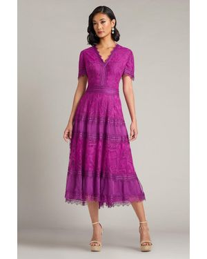 Tadashi Shoji Official Online Boutique Beatrice Tea-Length Dress - Pink