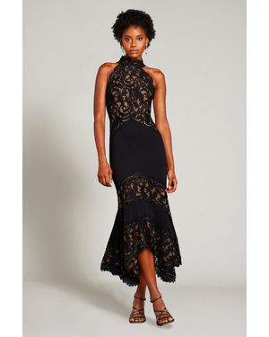 Tadashi Shoji Official Online Boutique Erva Lace Halter High-Low Dress - Multicolor