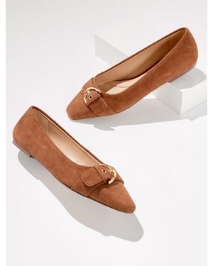Talbots Whitley Buckle Suede Ballet Flats - Brown