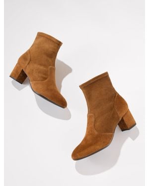 Talbots Pardo Suede Block Heel Booties - Brown