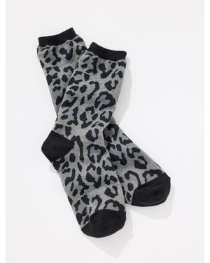 Talbots Fabulous Leopard Trouser Socks - Black