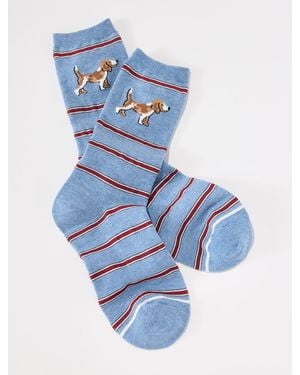 Talbots Beagle Stripe Trouser Socks - Blue