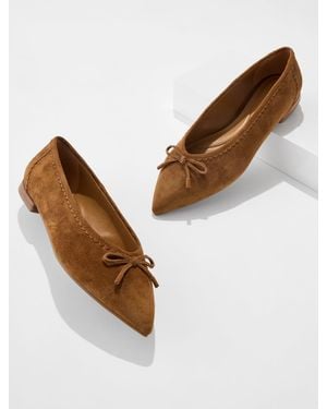 Talbots Payton Pointed Toe Ballet Flats - Brown