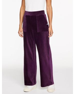 Talbots Plus Size - Purple