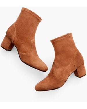 Talbots Pardo Suede Stretch Block Heel Booties - Brown