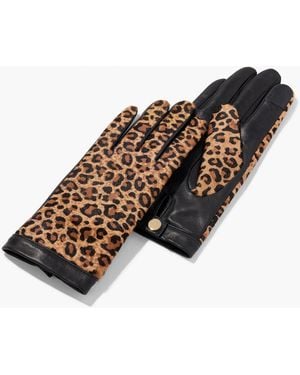 Talbots Leopard Calf Hair Leather Gloves - White