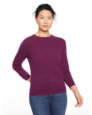 Talbots Plus Size - Purple