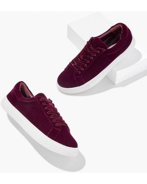 Talbots Aubrey Velvet Trainers - Purple