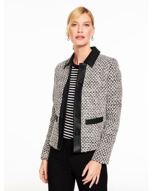 Talbots Plus Size - Gray