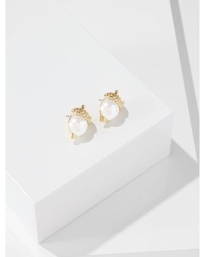 Talbots Pearl Acorn Stud Earrings - White