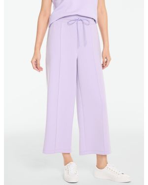 Talbots Plus Size - Purple