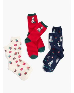 Talbots Christmas Dog Socks 3-pack Gift Set - White