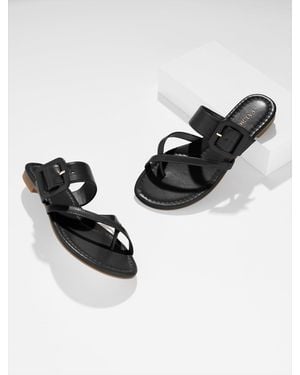 Talbots Camy Buckle Slides - Black