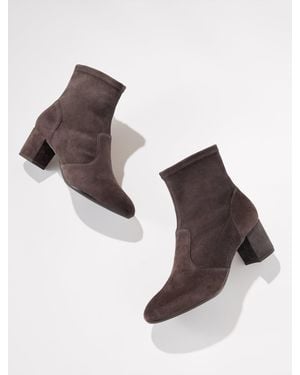 Talbots Pardo Suede Block Heel Booties - Brown
