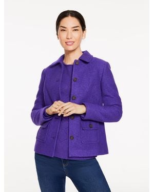 Talbots Plus Size - Purple