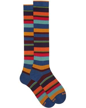 Gallo Long Warm Cotton Socks With Multicoloured Stripes - Blue