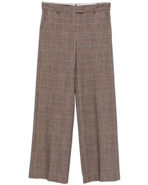 Circolo 1901 Cotton Trousers - Brown