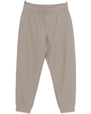 Emporio Armani Cotton Blend Joggers - Brown
