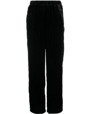 Gold Hawk Velvet Wide-Leg Trousers - Black