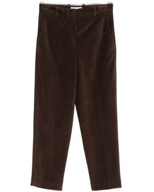 Circolo 1901 Cotton Carrot Pants - Brown