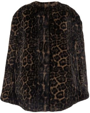Apparis Sloane Leopard Cape - Black