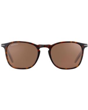 Serengeti Sunglasses - Brown