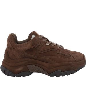 Ash Addict Bis Sneakers - Brown