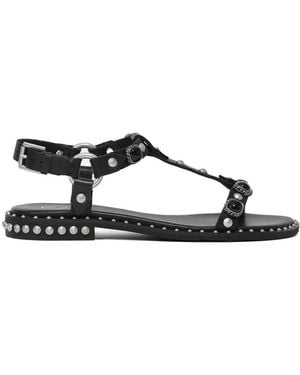 Ash Podium Leather Sandals With Studs - Black