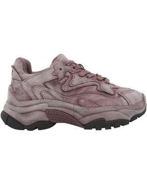 Ash Addict Bis Sneakers - Brown