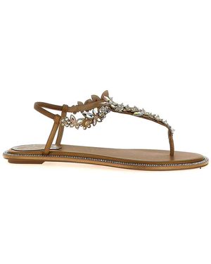 Rene Caovilla Diana Sandals - Brown