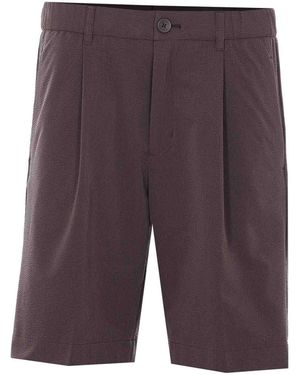 Herno Shorts - Purple