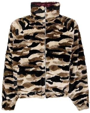 PDF Federico - Black