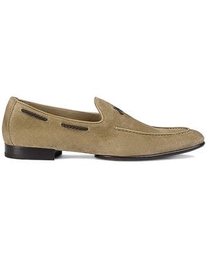 Doucal's Adler - Brown
