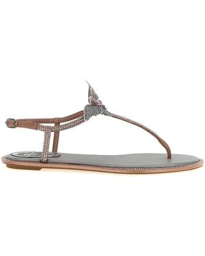 Rene Caovilla Fairy Sandals - Brown