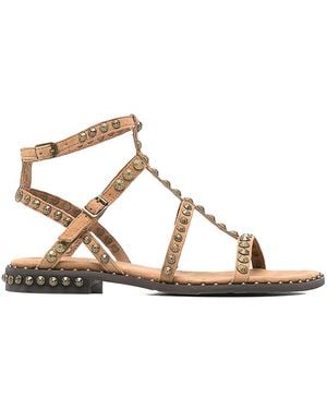 Ash Cachemere Mocha Mou Brass - Brown