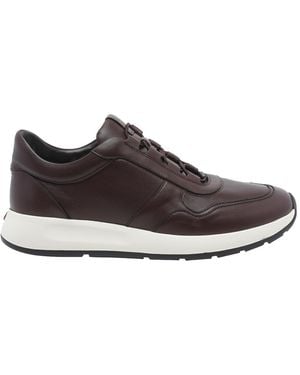 Tod's Dot Sneakers - Brown