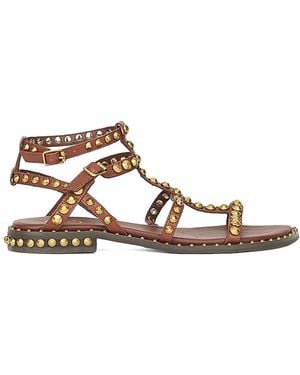 Ash Cachemere Mocha Mou Brass - Brown