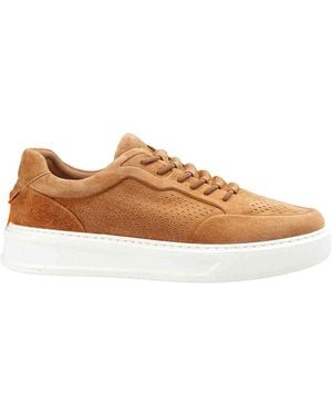 Barracuda Sneaker Slip-On Phoenix - Marrone