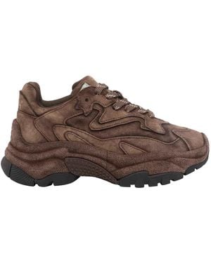 Ash Addict Bis Sneakers - Brown