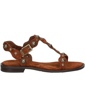 Ash Cmere Tajine - Brown