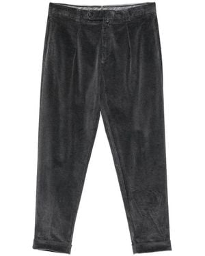 Berwich Pantalón Casual - Gris