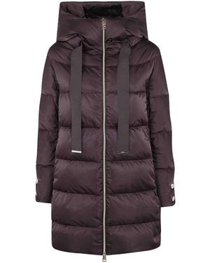 Herno Dark Chocolate A-Shape Hooded Jacket - Purple