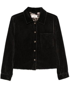 Xirena Shirt Ben - Black