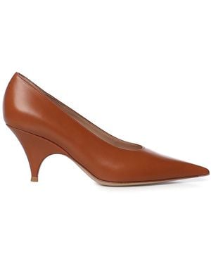 Gianvito Rossi Pumps - Braun