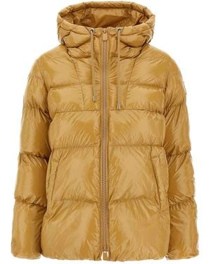 Pinko Eleodoro Down Jacket - Yellow