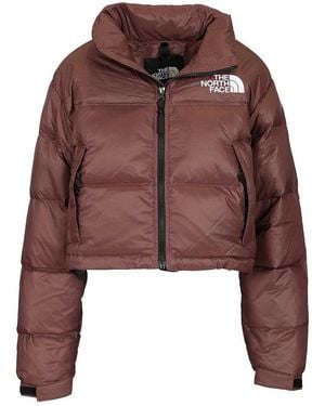 The North Face Nuptse Short Jacket - Brown