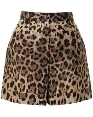 Dolce & Gabbana High-Rise Leopard-Print Cotton Short Shorts - Multicolour