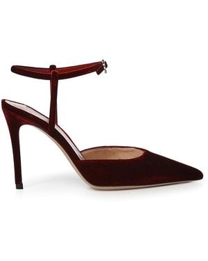 Gianvito Rossi Velvet Pumps - Brown