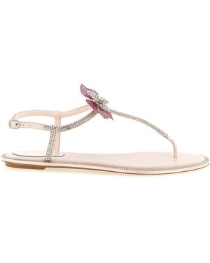 Rene Caovilla Fairy Sandals - Multicolour
