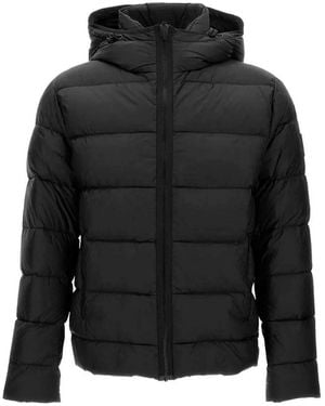 Fay Padded Jacket - Black